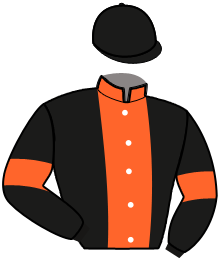 casaque portée par Bigeon Ch. J. jockey du cheval de course LEXIS DAB, information pmu ZETURF casaque portée par Bigeon Ch. J. jockey du cheval de course LEXIS DAB, information pmu ZETURF