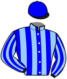 casaque portée par Demoutiez F. jockey du cheval de course LA BELLE D'URVILLE, information pmu ZETURF casaque portée par Demoutiez F. jockey du cheval de course LA BELLE D'URVILLE, information pmu ZETURF
