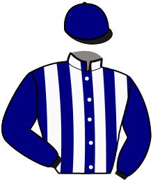 casaque portée par Verva M. jockey du cheval de course HAVANE MENCOURT, information pmu ZETURF casaque portée par Verva M. jockey du cheval de course HAVANE MENCOURT, information pmu ZETURF