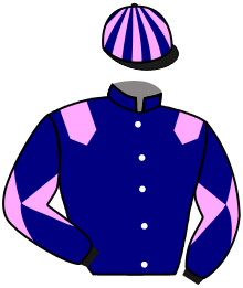 casaque portée par Foulon M. jockey du cheval de course KHELDANCE, information pmu ZETURF casaque portée par Foulon M. jockey du cheval de course KHELDANCE, information pmu ZETURF