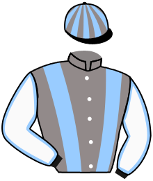casaque portée par Mendizabal I. jockey du cheval de course LINO, information pmu ZETURF casaque portée par Mendizabal I. jockey du cheval de course LINO, information pmu ZETURF