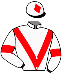 casaque portée par Mouesan H. jockey du cheval de course KSAR DE L'ARDUS, information pmu ZETURF casaque portée par Mouesan H. jockey du cheval de course KSAR DE L'ARDUS, information pmu ZETURF