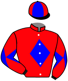 casaque portée par Seguy V. jockey du cheval de course FARREL DU PECOS, information pmu ZETURF casaque portée par Seguy V. jockey du cheval de course FARREL DU PECOS, information pmu ZETURF