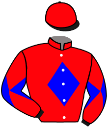 casaque portée par Forest M. jockey du cheval de course MIRKANA, information pmu ZETURF casaque portée par Forest M. jockey du cheval de course MIRKANA, information pmu ZETURF