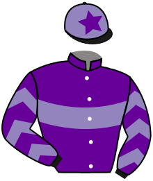 casaque portée par Doyle Mme Hol. jockey du cheval de course TROUBLE MAN, information pmu ZETURF casaque portée par Doyle Mme Hol. jockey du cheval de course TROUBLE MAN, information pmu ZETURF