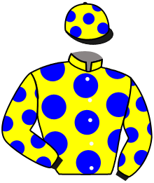 casaque portée par Hardouin E. jockey du cheval de course AHATIS, information pmu ZETURF casaque portée par Hardouin E. jockey du cheval de course AHATIS, information pmu ZETURF