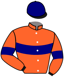 casaque portée par Reveley J. jockey du cheval de course LEK WILL, information pmu ZETURF casaque portée par Reveley J. jockey du cheval de course LEK WILL, information pmu ZETURF
