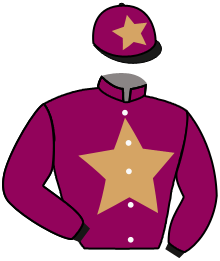 casaque portée par Gauffenic N. jockey du cheval de course KELTEMPS, information pmu ZETURF casaque portée par Gauffenic N. jockey du cheval de course KELTEMPS, information pmu ZETURF