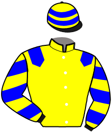 casaque portée par Lefebvre G. jockey du cheval de course LOVELY DE TILLARD, information pmu ZETURF