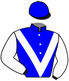 casaque portée par Raffin E. jockey du cheval de course MARIO MASCAR, information pmu ZETURF