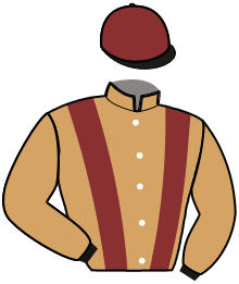 casaque portée par Thomain D. jockey du cheval de course KARAT DEFF, information pmu ZETURF casaque portée par Thomain D. jockey du cheval de course KARAT DEFF, information pmu ZETURF