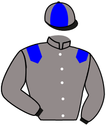 casaque portée par Juteau R. jockey du cheval de course NIGHT ACTION, information pmu ZETURF