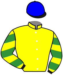 casaque portée par Santiago Mlle D. jockey du cheval de course BREIZHY GIRL, information pmu ZETURF casaque portée par Santiago Mlle D. jockey du cheval de course BREIZHY GIRL, information pmu ZETURF