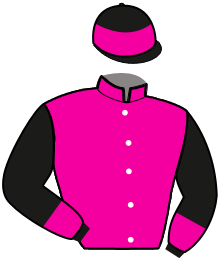 casaque portée par Gelormini G. jockey du cheval de course DELMONICA FERM, information pmu ZETURF