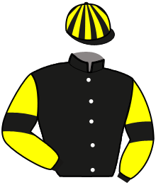 casaque portée par Thomain D. jockey du cheval de course ORLANDO VIVA, information pmu ZETURF