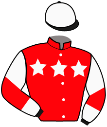 casaque portée par Savarese G. jockey du cheval de course ELOHIM DI VENERE, information pmu ZETURF