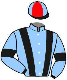 casaque portée par Martin G. jockey du cheval de course JULIANO DELTO, information pmu ZETURF