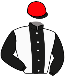 casaque portée par Le Bec Enz. jockey du cheval de course KSAR UNICK, information pmu ZETURF