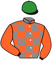 casaque portée par Jouin O. jockey du cheval de course WILD SUN, information pmu ZETURF casaque portée par Jouin O. jockey du cheval de course WILD SUN, information pmu ZETURF