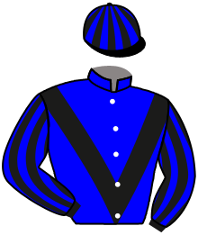casaque portée par Zuliani L. jockey du cheval de course JANE DE LA BRUNIE, information pmu ZETURF