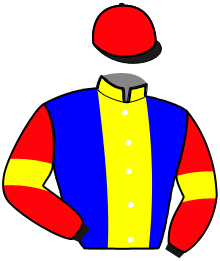 casaque portée par Bizeul S. jockey du cheval de course IDYLLE DE CAHOT, information pmu ZETURF casaque portée par Bizeul S. jockey du cheval de course IDYLLE DE CAHOT, information pmu ZETURF