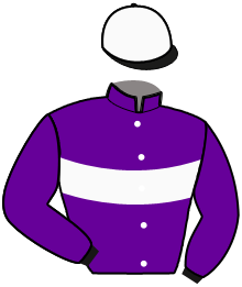 casaque portée par Palierne Oli. M. jockey du cheval de course HERDUNO, information pmu ZETURF casaque portée par Palierne Oli. M. jockey du cheval de course HERDUNO, information pmu ZETURF