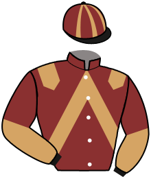casaque portée par Mottier M. jockey du cheval de course KAYNE RICHER, information pmu ZETURF casaque portée par Mottier M. jockey du cheval de course KAYNE RICHER, information pmu ZETURF