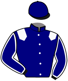 casaque portée par Cive E. jockey du cheval de course MAX MESLOIS, information pmu ZETURF