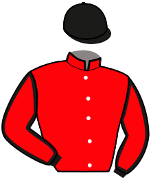 casaque portée par Le Beller T. jockey du cheval de course MANDATED, information pmu ZETURF