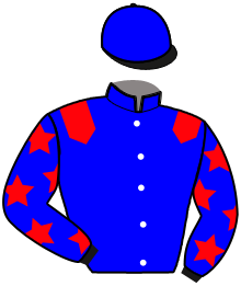 casaque portée par Lebourgeois Y. jockey du cheval de course MAXIMUS MATIDY, information pmu ZETURF