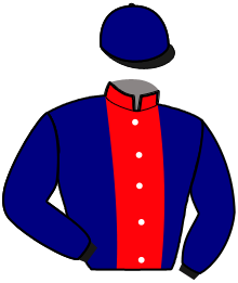 casaque portée par Raffin E. jockey du cheval de course MISTER CHARM, information pmu ZETURF
