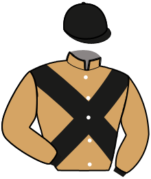 casaque portée par De Meyer Mme M. jockey du cheval de course IDAHO PHIL, information pmu ZETURF