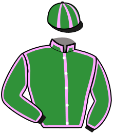 casaque portée par Bizoux Thé. jockey du cheval de course JAGUAR D'ERABLE, information pmu ZETURF