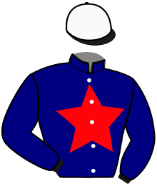 casaque portée par Lebourgeois Y. jockey du cheval de course KENAVO TUILERIE, information pmu ZETURF
