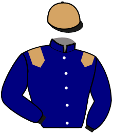 casaque portée par Rousselle S. jockey du cheval de course KAVALO BELLO, information pmu ZETURF