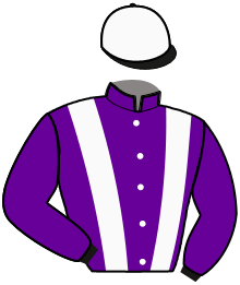 casaque portée par Lebouteiller J. jockey du cheval de course KING OF DAY, information pmu ZETURF