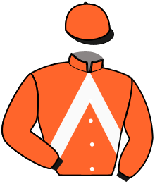 casaque portée par Lelievre I. jockey du cheval de course KAPORAL KADESH, information pmu ZETURF