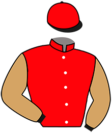 casaque portée par Thomain D. jockey du cheval de course KIWI DE BAFFAIS, information pmu ZETURF
