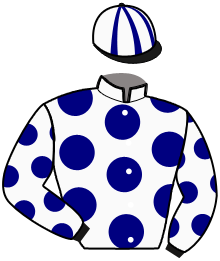 casaque portée par Aube L. jockey du cheval de course KARTING DU VIVIER, information pmu ZETURF