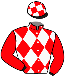 casaque portée par Raffin E. jockey du cheval de course KANTOUTSTART, information pmu ZETURF