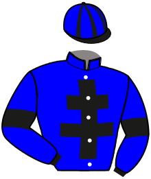 casaque portée par Mottier M. jockey du cheval de course KRYSEIS, information pmu ZETURF