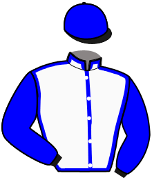 casaque portée par Jublot L. jockey du cheval de course LESDY MAGODA, information pmu ZETURF