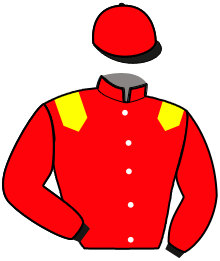 casaque portée par Raffin E. jockey du cheval de course LADY DU VALLON, information pmu ZETURF