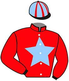 casaque portée par Le Beller B. jockey du cheval de course LADY DE SAFRAN, information pmu ZETURF