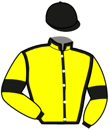 casaque portée par Mottier M. jockey du cheval de course IMAGE DE RABET, information pmu ZETURF
