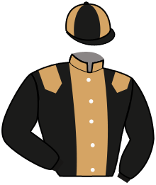 casaque portée par Barrier A. jockey du cheval de course IDEAL D'URZY, information pmu ZETURF