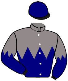casaque portée par Rebeche A. jockey du cheval de course GARD, information pmu ZETURF