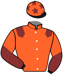 casaque portée par Petitjean K. jockey du cheval de course FELINE DE JANVILLE, information pmu ZETURF