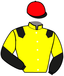 casaque portée par Raffin E. jockey du cheval de course INSTRUMENTALISTE, information pmu ZETURF