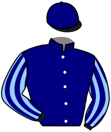 casaque portée par Abrivard M. jockey du cheval de course GASPAR DE BRION, information pmu ZETURF